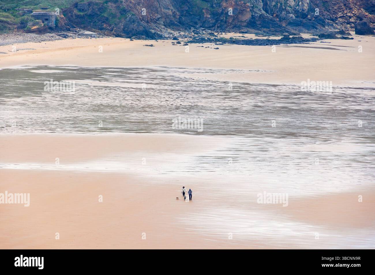 Les gens avec des chiens marchant sur une plage de sable Banque D'Images