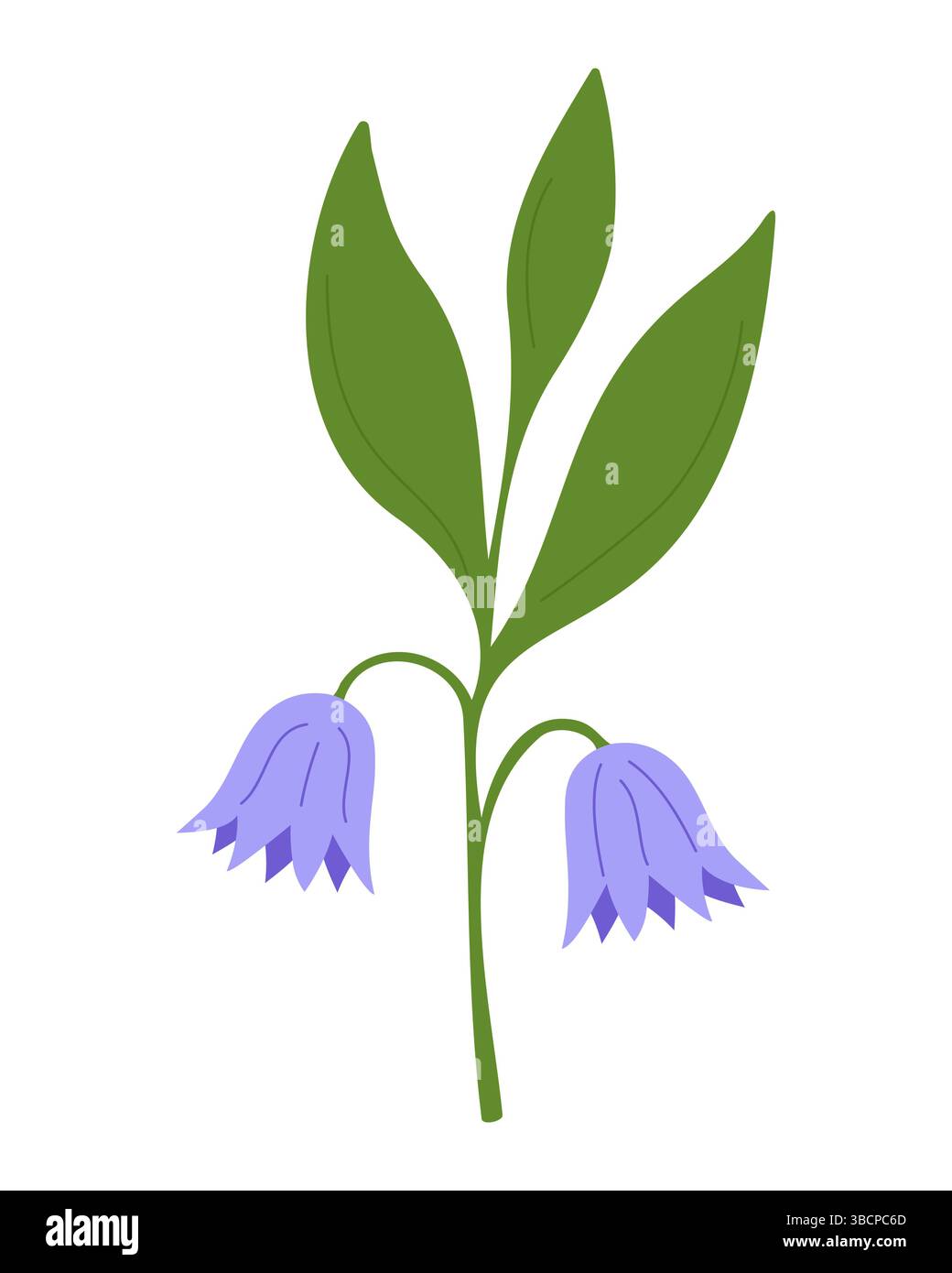 Fleur de bellflower. Belle fleur de printemps sur fond blanc. Chellflower violet en fleur, illustration vectorielle florale plate simple pour l'impression, la conception. Illustration de Vecteur