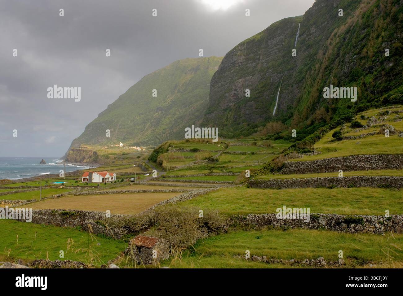 Paysage côtier sur les Açores, Açores, Flores, Faja Grande Banque D'Images