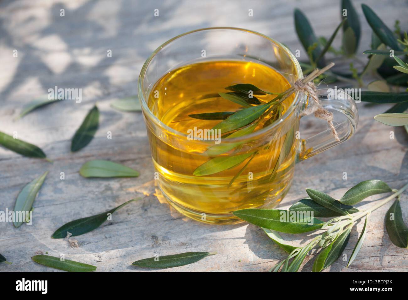 Olivier (Olea europaea ssp. Sativa), thé fait maison à partir de feuilles d'olivier, Croatie Banque D'Images