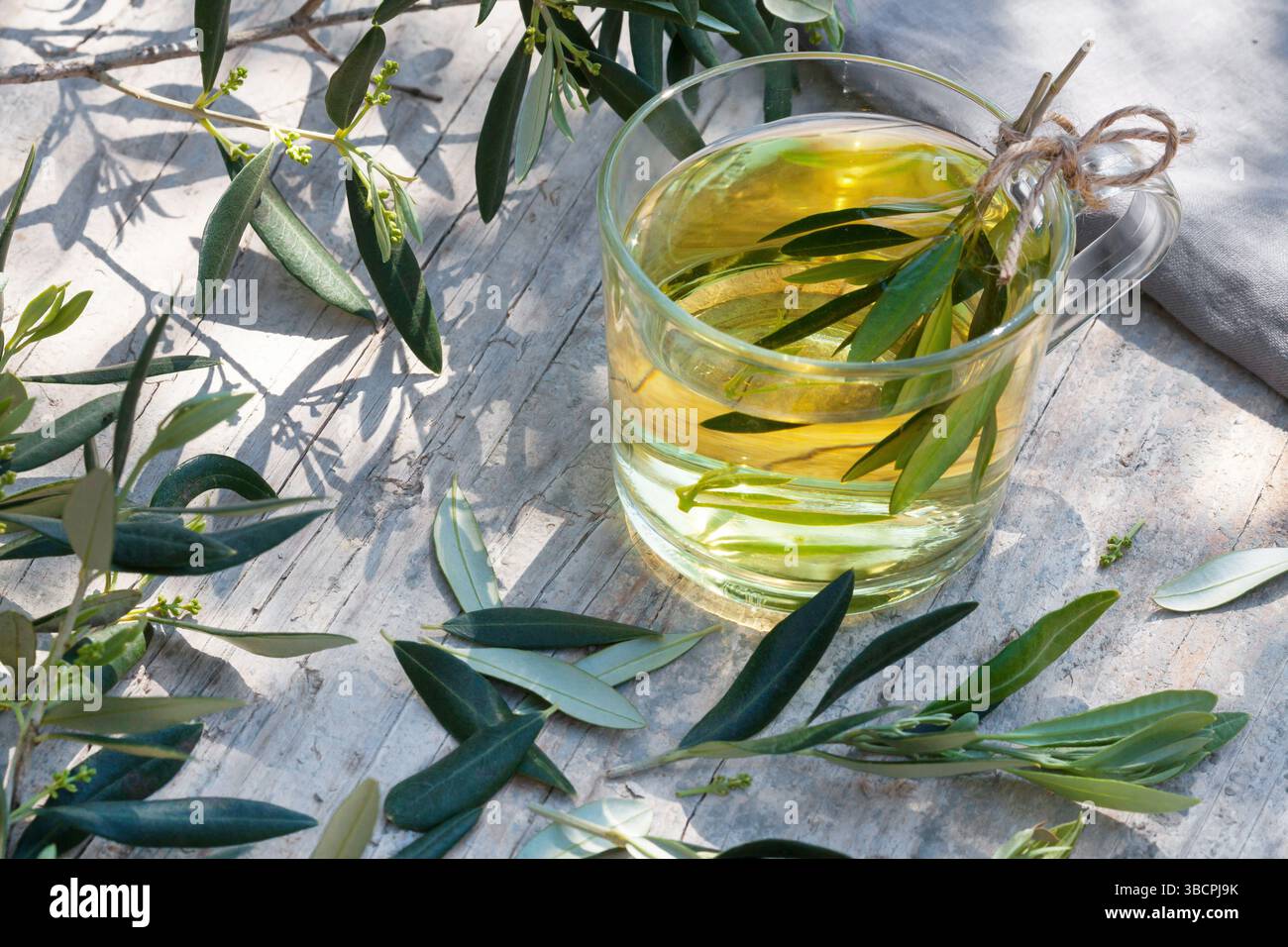 Olivier (Olea europaea ssp. Sativa), thé fait maison à partir de feuilles d'olivier, Croatie Banque D'Images