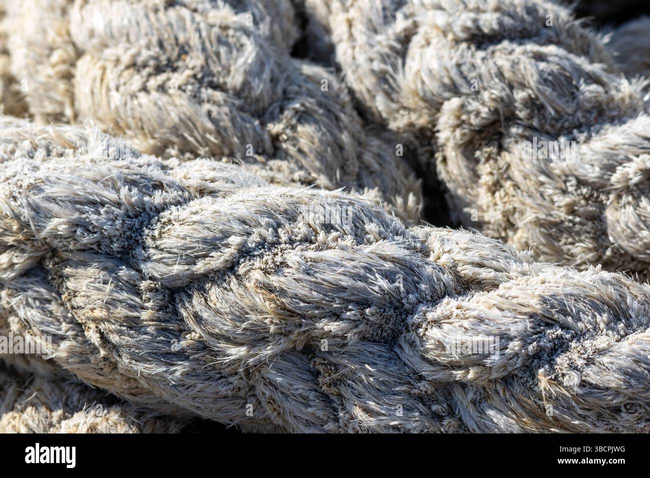 Corde épaisse et robuste présentant un tressage complexe et soulignant la texture naturelle des fibres de chanvre Banque D'Images