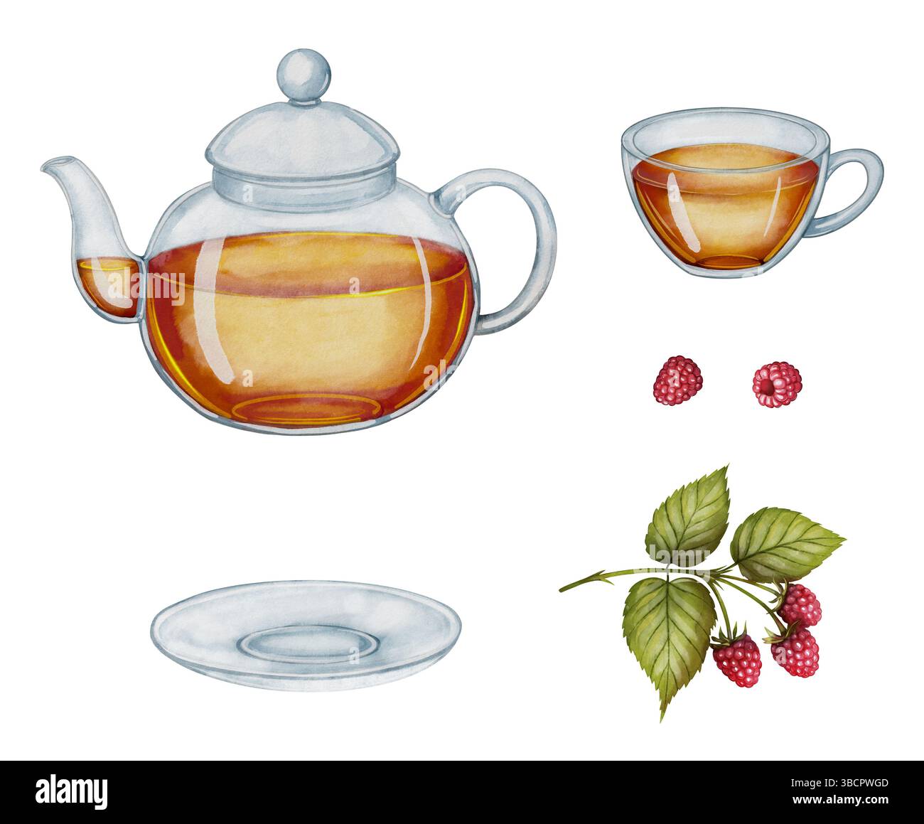 Théière avec tisane, framboises mûres, feuilles serties. Dessin aquarelle, idéal pour l'emballage de thé, les étiquettes de produits à base de plantes, le décor de cuisine et la conception liée à la nourriture. Banque D'Images
