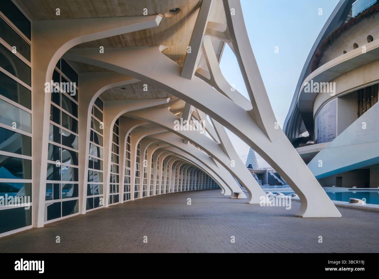 Détails architecturaux de la Cité des Arts et des Sciences. Design moderne, structures en béton, Landmark urbain, ingénierie futuriste Banque D'Images