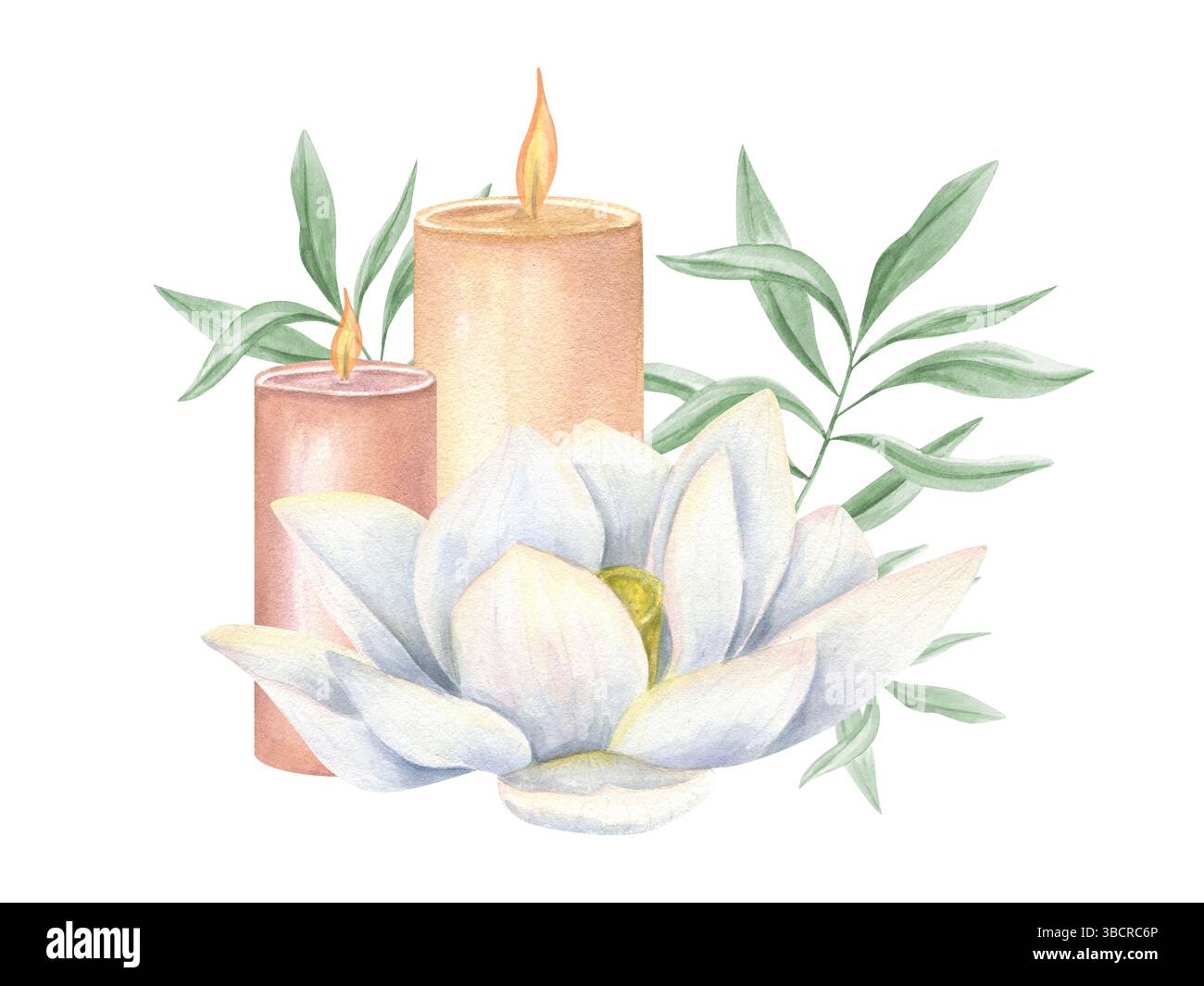 Fleur de lotus blanc, deux bougies allumées, et illustration aquarelle de branche d'eucalyptus arrière-plan isolé. Pour le bien-être, la méditation, le branding de yoga Banque D'Images