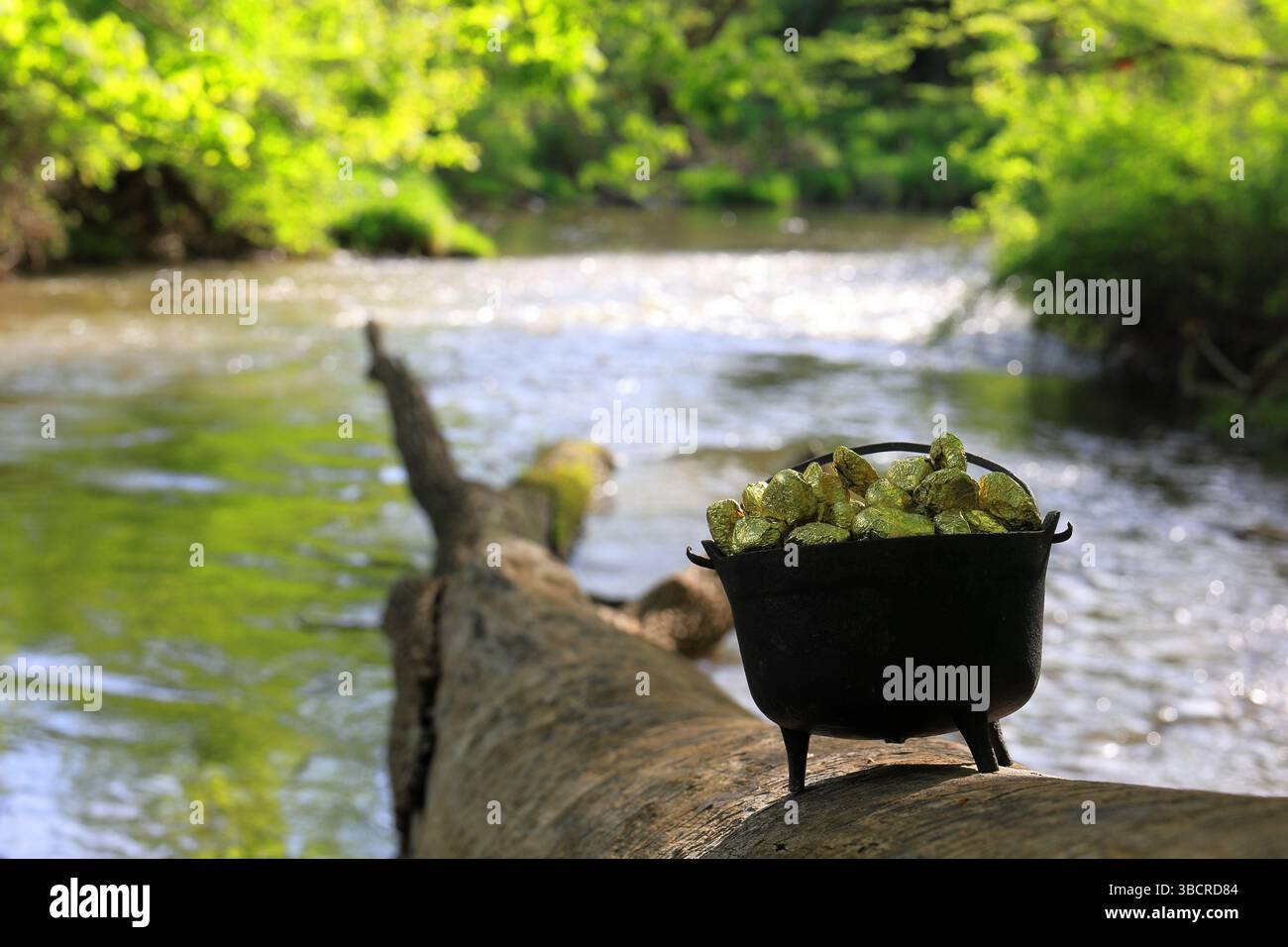 Pot de Leprechaun de réfléchir la lumière du soleil tout en étant assis sur un arbre tombé au-dessus d'un ruisseau forestier Banque D'Images Pot de Leprechaun de réfléchir la lumière du soleil tout en étant assis sur un arbre tombé au-dessus d'un ruisseau forestier Banque D'Images