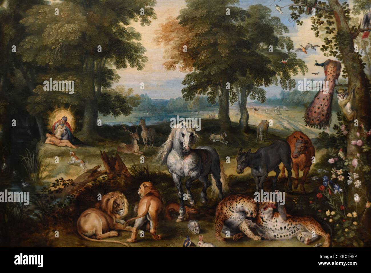 Le Paradis terrestre avec la création d'Éve, 1630, Jan Bruegel le jeune (1601-1678), Besançon, musée des Beaux-Arts et d'Archéologie, France. Banque D'Images