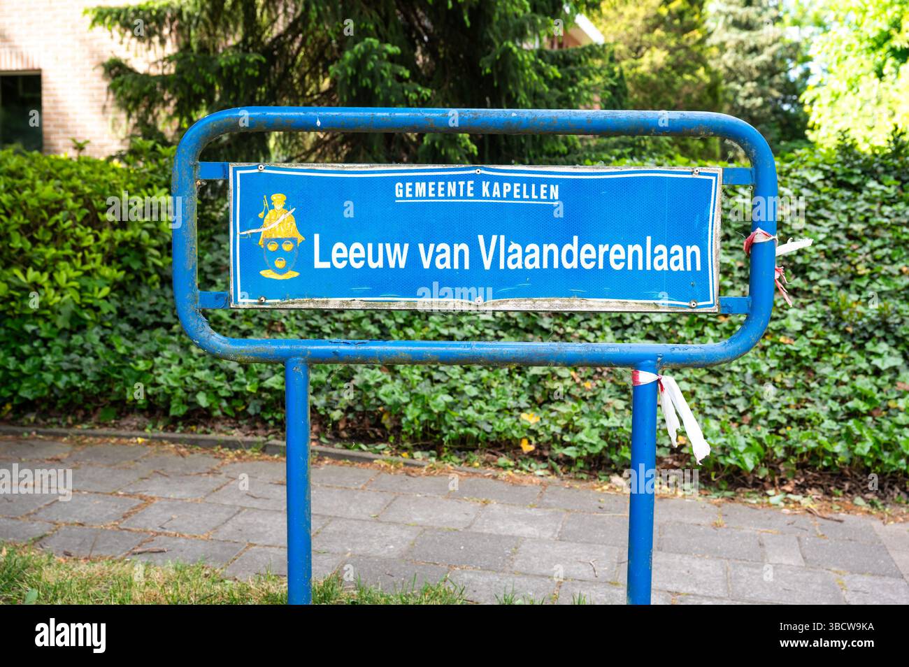 Panneau bleu de la Leeuw Van Vlaanderenlaan, une avenue dédiée au Lion flamand, symbole de la Flandre à Anvers, Belgique. 16 mai 2025 Banque D'Images