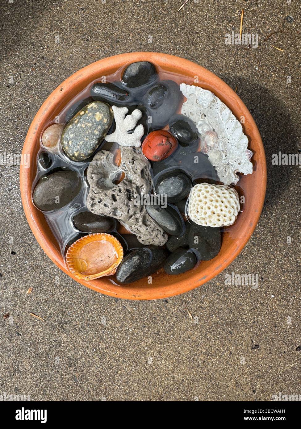 Un bain d'abeille - récipient peu profond d'eau avec des pierres et des coquillages pour les abeilles d'atterrir en toute sécurité et de boire. Banque D'Images