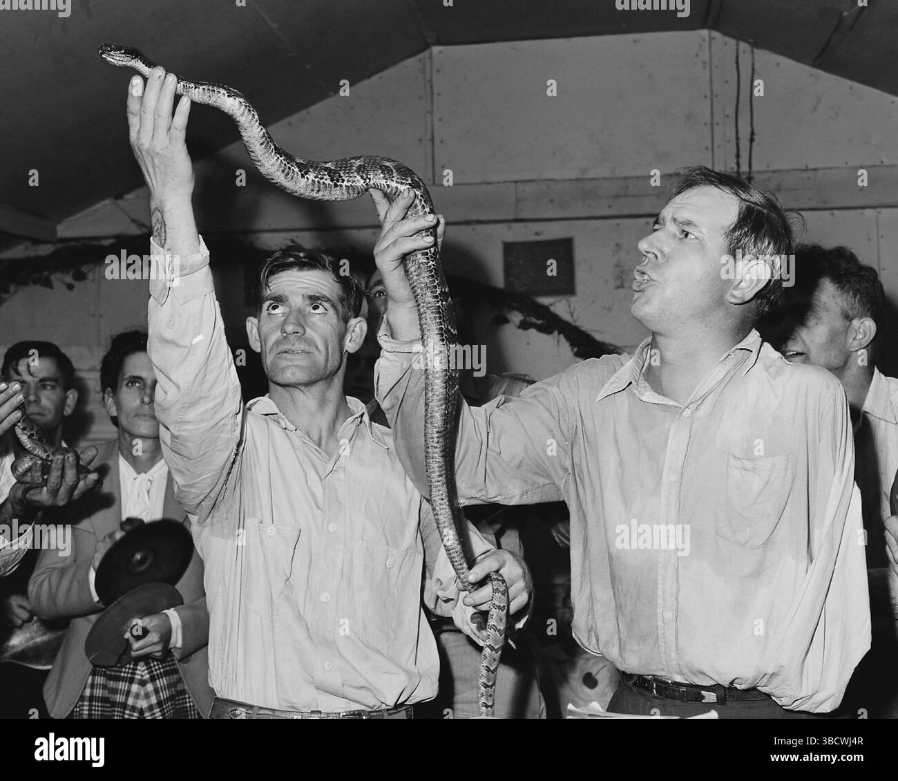 Manipulation des serpents à l'église de Dieu à Lejunior dans le comté de Harlan, Kentucky, 15 septembre 1946 - la manipulation des serpents était un test de la foi du adorateur. Banque D'Images