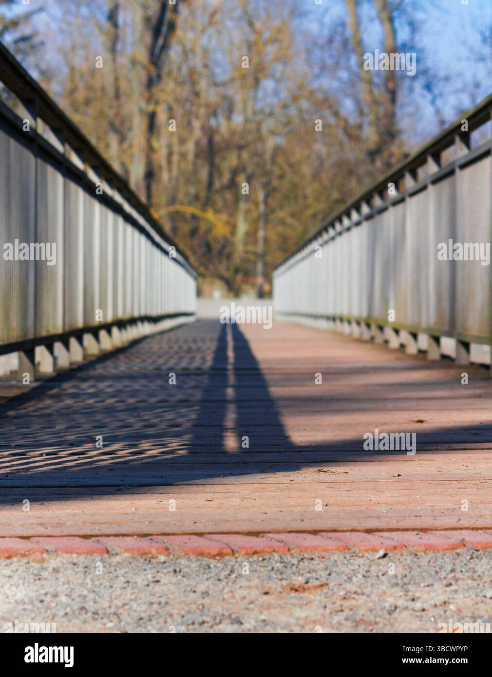 Perspectivité en silence : jeu d'ombre sur planches de bois Banque D'Images