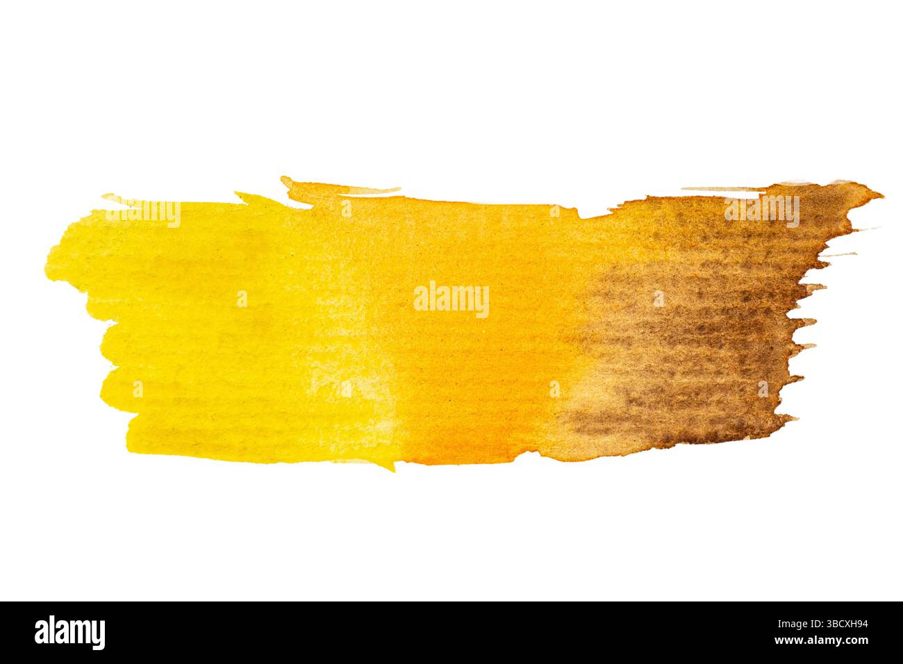 Motif de trait d'aquarelle jaune et marron éclatant Banque D'Images