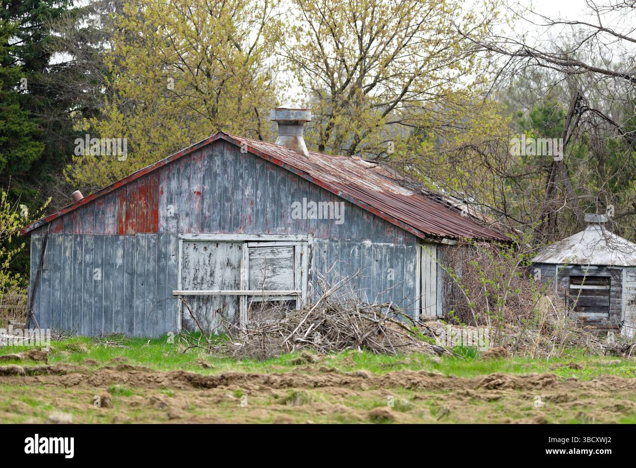 Une ancienne grange rustique avec un toit rouge et une cheminée. La grange est entourée d'arbres et d'herbe Banque D'Images
