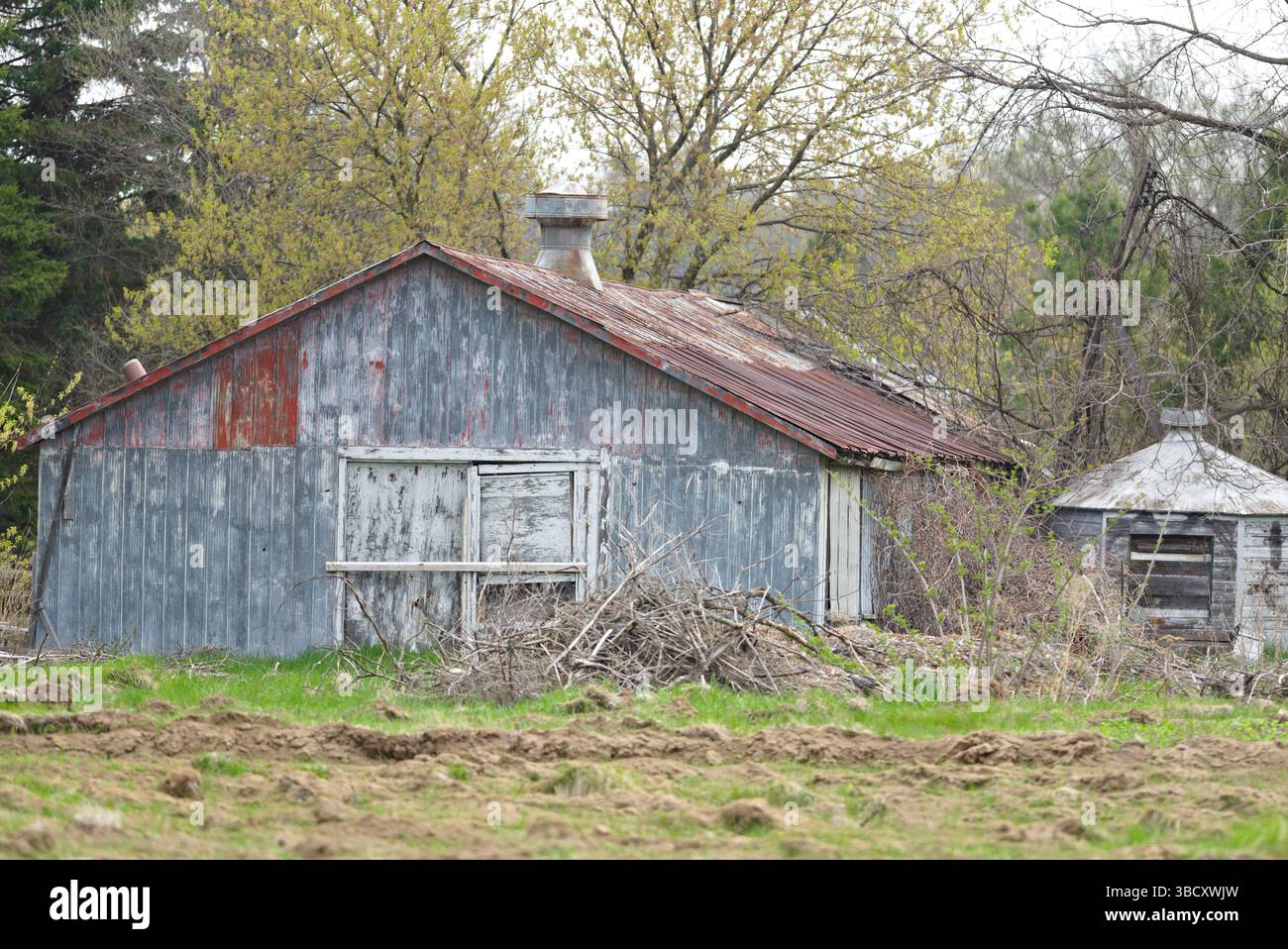 Une ancienne grange rustique avec une cheminée et une porte blanche. La grange est entourée d'arbres et d'herbe Banque D'Images