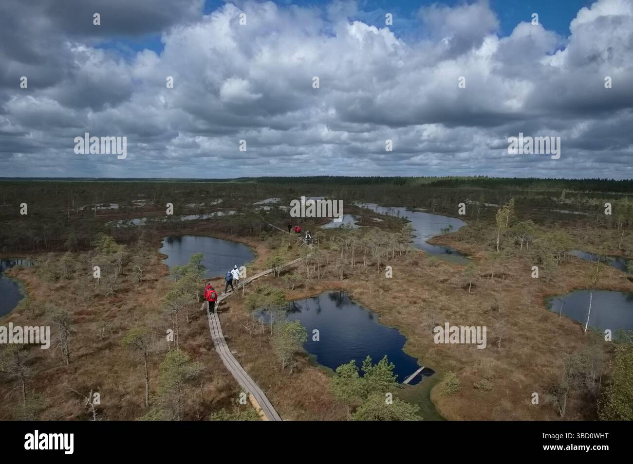 Vue aérienne des gens marchant sur une promenade dans un marais letton Banque D'Images