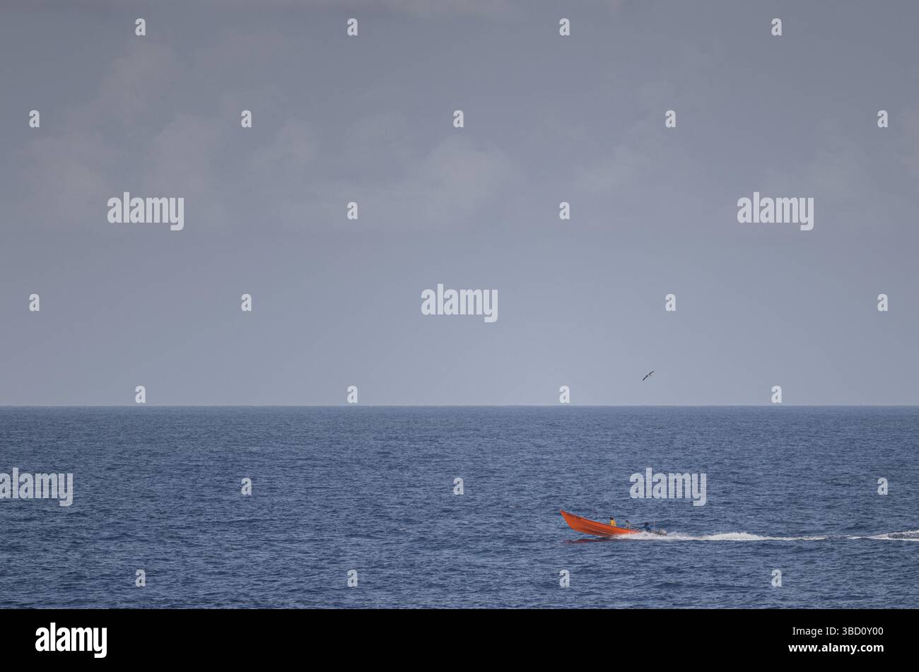 Petit bateau de pêche orange avec trois pêcheurs à bord à vitesse à travers la mer des Caraïbes, avec un oiseau de mer volant au-dessus dans un ciel bleu ouvert. Banque D'Images Petit bateau de pêche orange avec trois pêcheurs à bord à vitesse à travers la mer des Caraïbes, avec un oiseau de mer volant au-dessus dans un ciel bleu ouvert. Banque D'Images