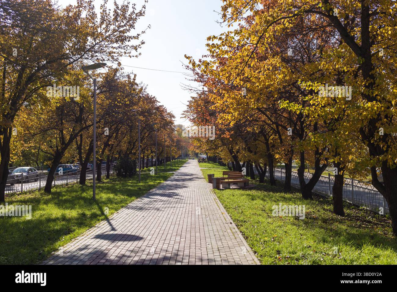 Le sentier d'automne présente des arbres vibrants aux feuilles dorées, invitant les visiteurs à se promener dans un cadre extérieur paisible, entouré d'une herbe luxuriante Banque D'Images