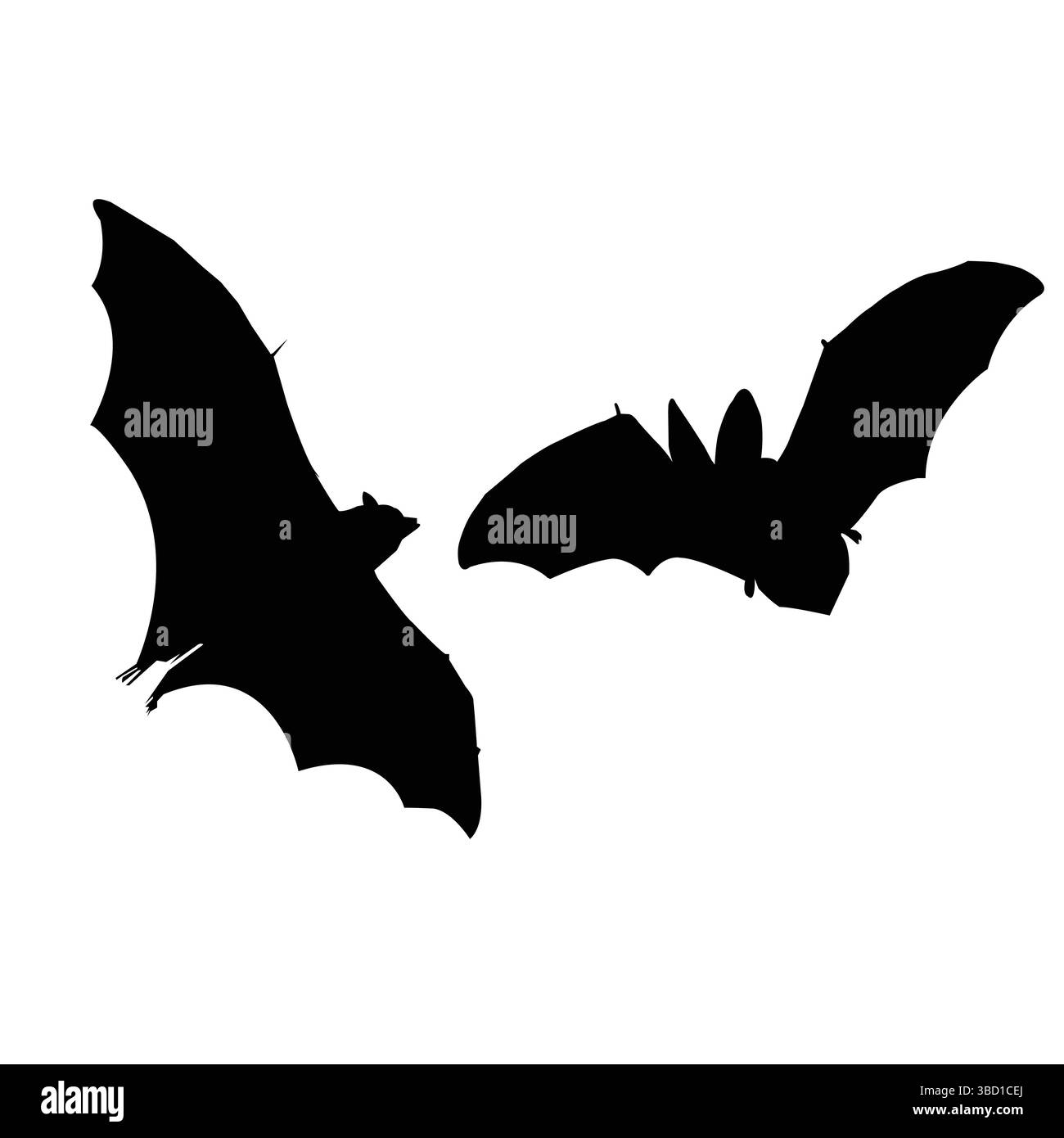 Flying Bat Silhouette Vector pour Halloween et Gothic Design Black chauves-souris sur un fond blanc Illustration de Vecteur
