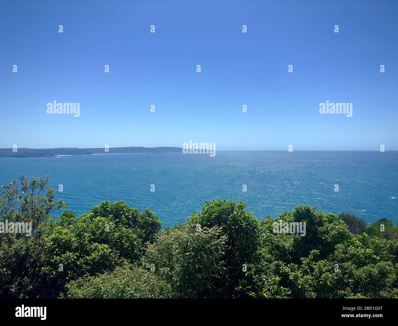 Vue panoramique sur l'océan bleu profond avec une végétation côtière luxuriante et verdoyante sous un ciel d'été clair. - Image de stock capturée avec un smartphone