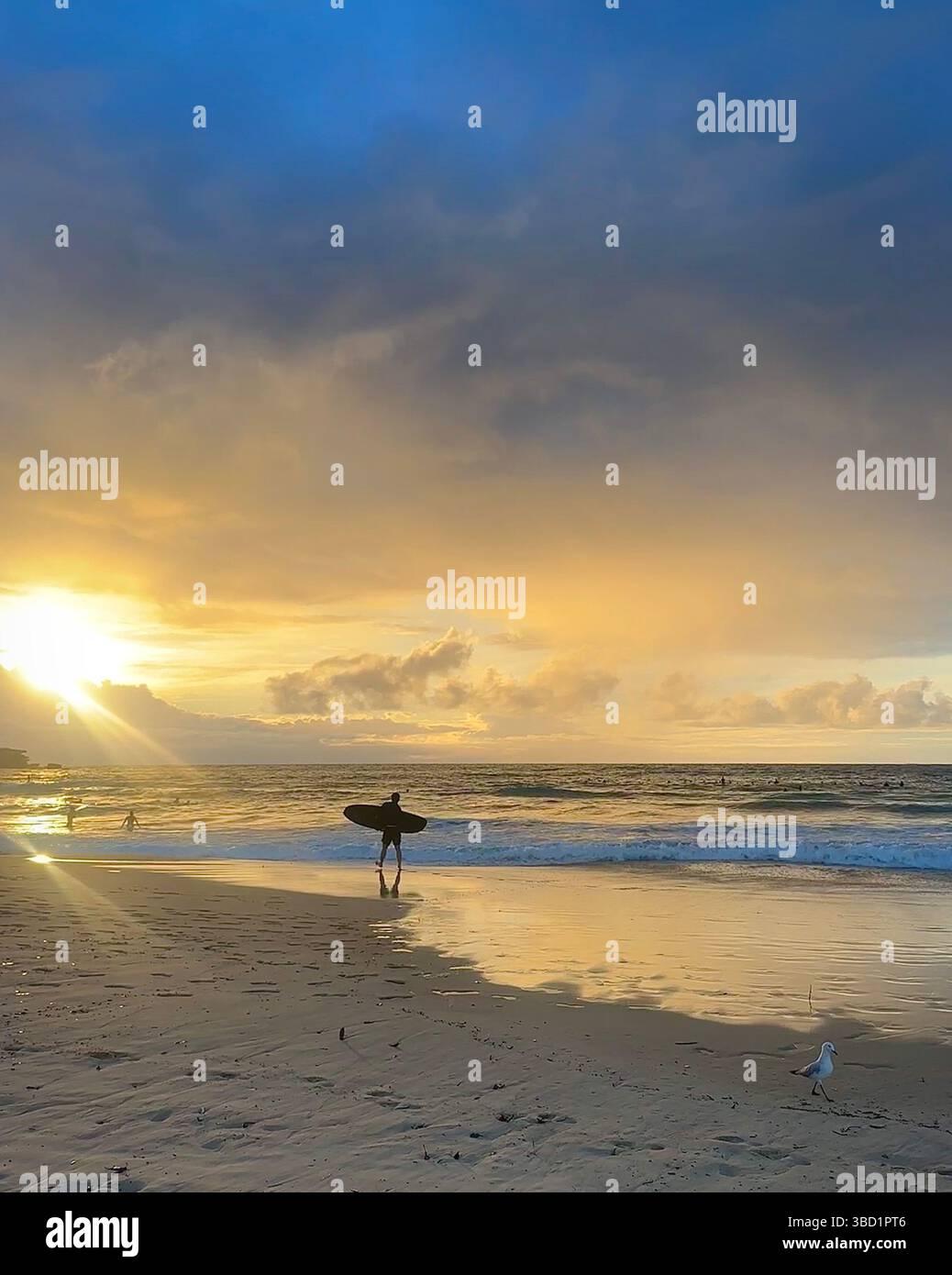 Surfeur marchant le long du rivage au lever du soleil avec la lumière dorée qui se reflète sur le sable humide et les vagues qui roulent sous les nuages spectaculaires. - Image de stock capturée avec un smartphone
