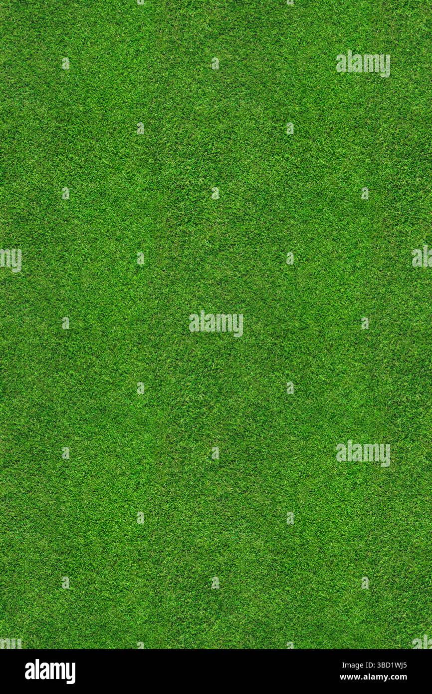 Texture du champ d'herbe - vue aérienne sans couture de dessus d'une grande parcelle d'herbe verte fraîchement coupée et saine. Peut être mosaïque pour créer un arrière-plan plus grand. Banque D'Images
