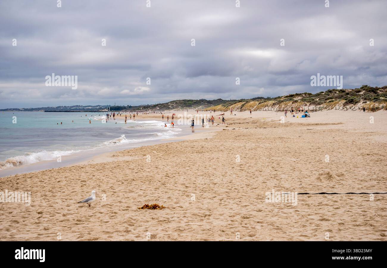 Scène de plage de Mullaloo bondée avec mouette sur sable blanc dans un jour nuageux, Perth, Australie, 12 avril 2020 Banque D'Images