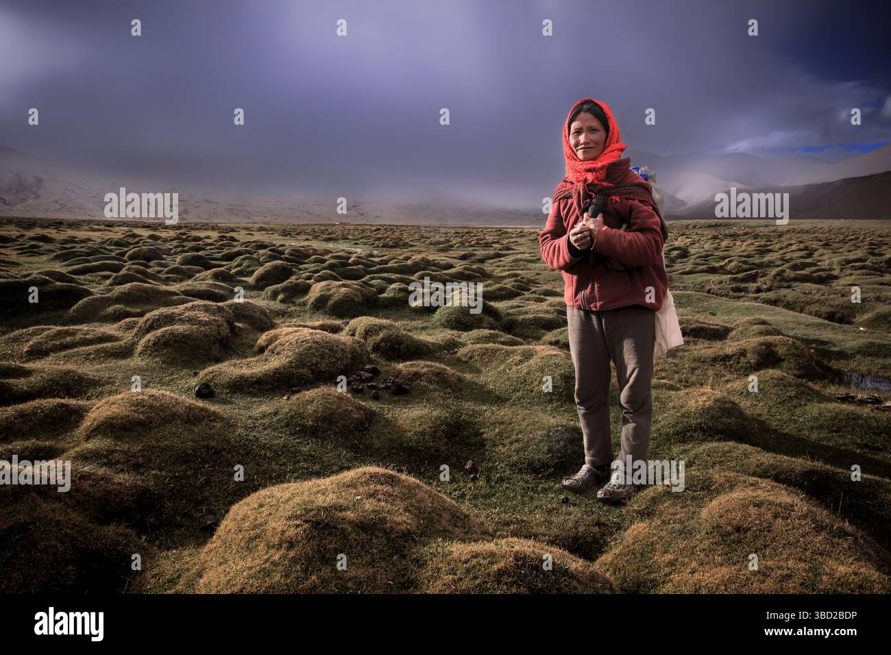 En-tête féminin du peuple Changpa, Korzok, Ladakh, Inde Banque D'Images