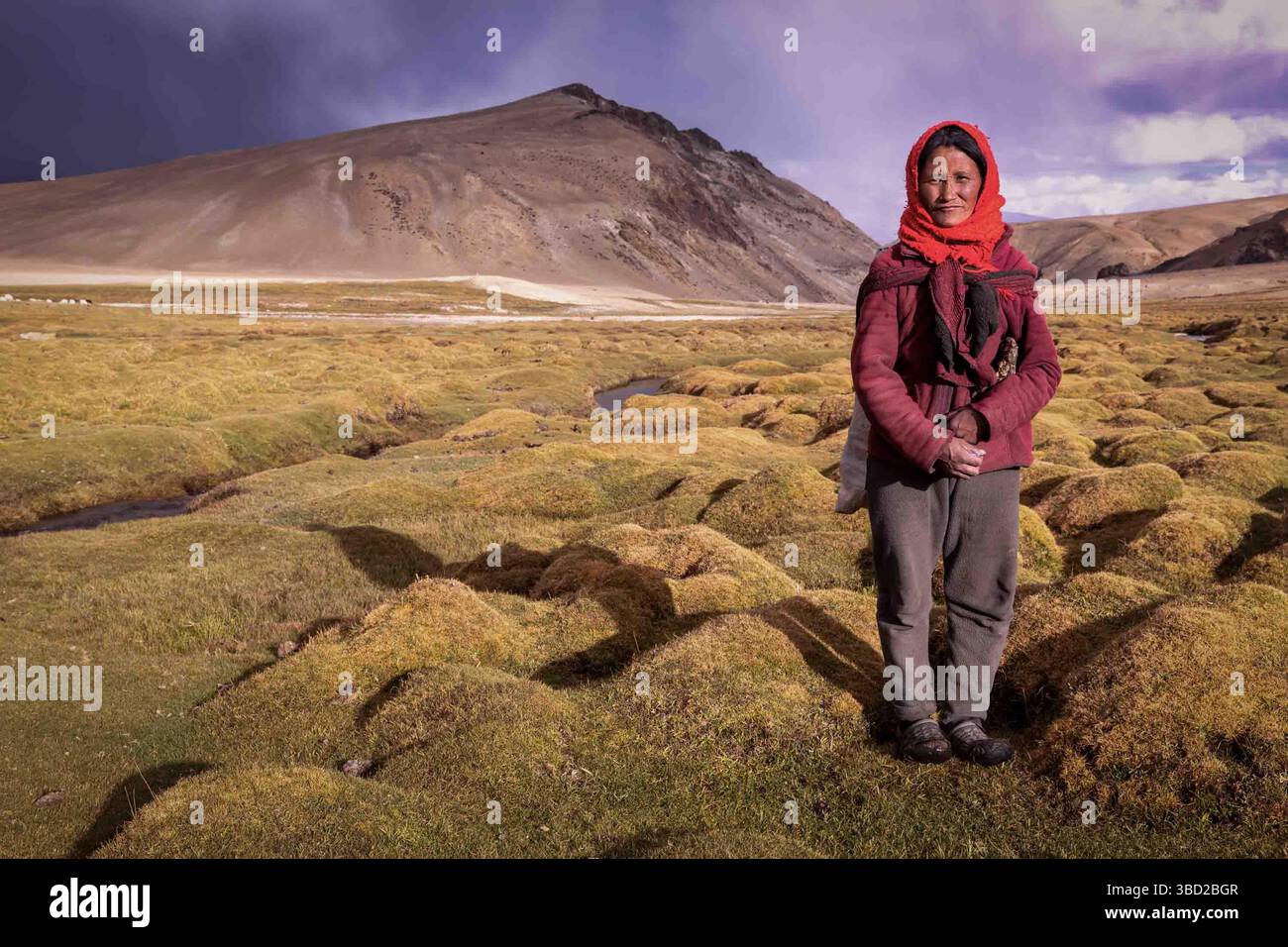 En-tête féminin du peuple Changpa, Korzok, Ladakh, Inde Banque D'Images