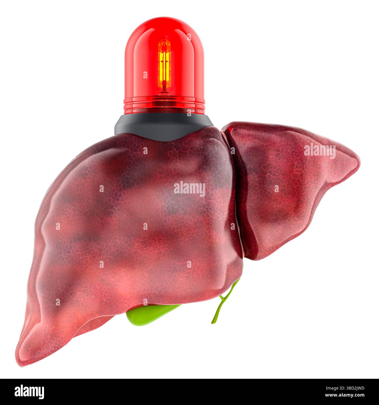 Foie avec témoin d'avertissement d'urgence. Urgence médicale, maladie du foie, ou avertissement de santé. Insuffisance hépatique, hépatite, cirrhose ou alerte d'organe critique Banque D'Images