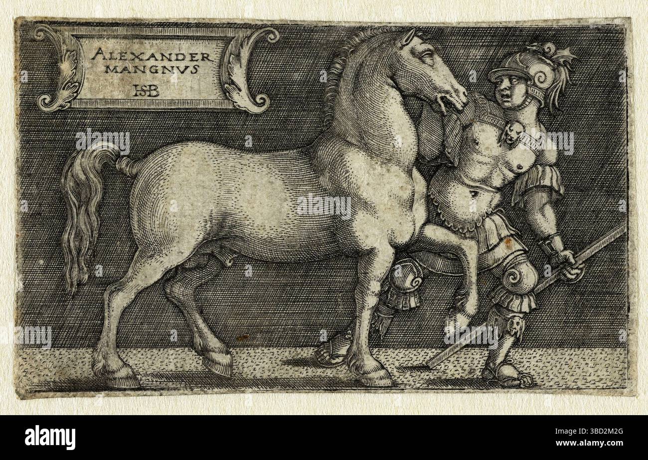 L'apprivoisation de Bucephalus. Bucephalus ou Bucephalas, était le cheval d'Alexandre le Grand, et l'un des chevaux les plus célèbres de l'Antiquité classique. D'anciens récits historiques indiquent que la race de Bucéphale était celle de la « meilleure souche thessalienne », et qu'il mourut dans ce qui est maintenant le Punjab, au Pakistan, après la bataille de l'Hydaspe en 326 av. J.-C.. Alexandre était tellement affligé par la perte de son cheval qu'il a nommé l'une des nombreuses villes qu'il a fondées après lui, Alexandrie Bucephalus. Banque D'Images