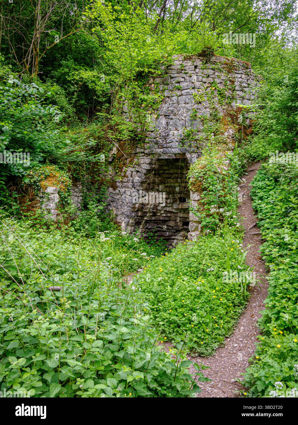 Restes de vieux fours à chaux dans la vallée profonde de Vallis Vale près de Frome dans le Somerset Royaume-Uni Banque D'Images