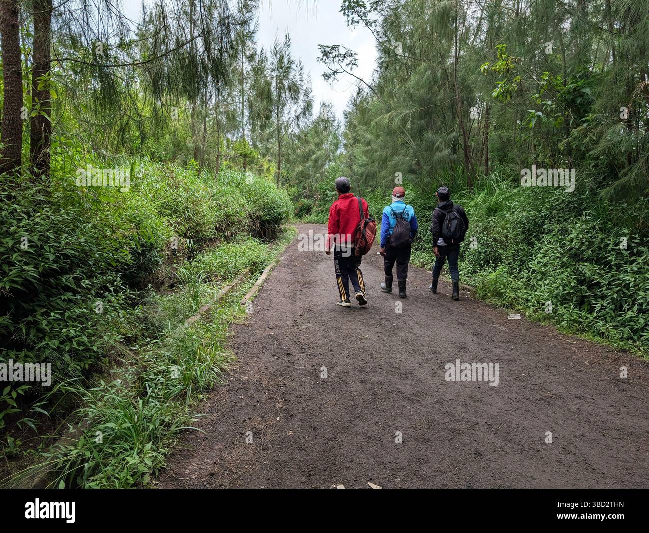 Banyuwangi, Indonésie - 10 mai 2025 : randonneurs descendant du cratère Ijen Banque D'Images