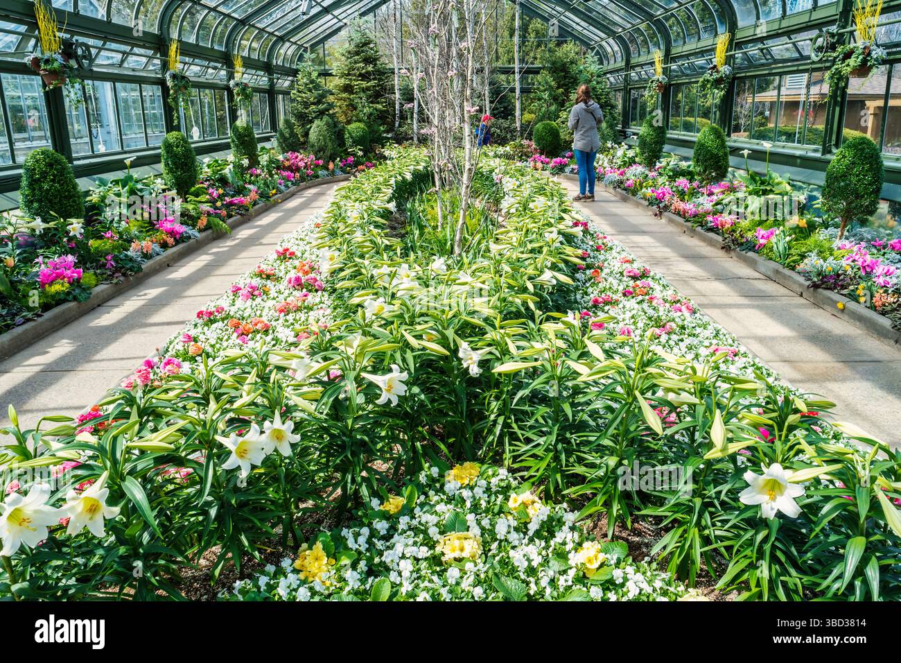 Floral Showhouse à Niagara Falls, Ontario, Canada. Banque D'Images