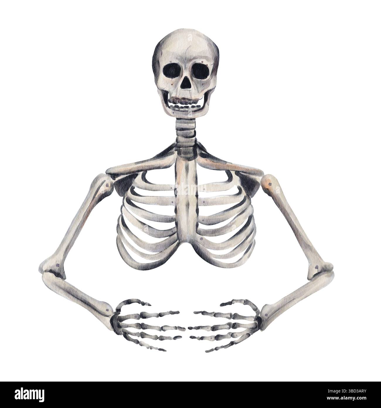 Squelette humain. os et mains et crâne. dessin anatomique. Décoration d'Halloween. squelette vintage gothique romantique. Illustration aquarelle. Main Banque D'Images