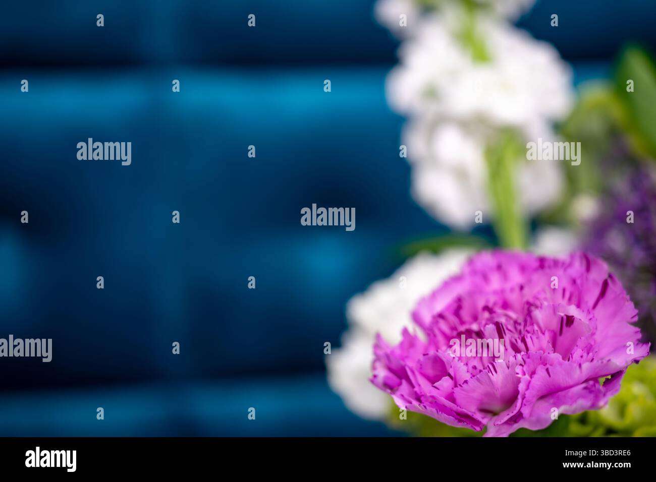 Une fleur violette vibrante se distingue parmi une variété de fleurs sur un fond bleu doux. Les pétales délicats créent un contraste visuel saisissant, enha Banque D'Images