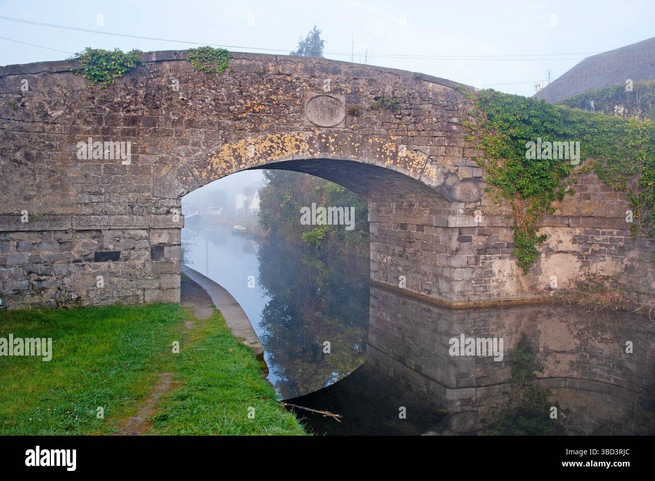 Vue sur le Grand canal et Hazelhatch Bridge, tôt le matin brumeux, Celbridge, Co Kildare, Irlande Banque D'Images