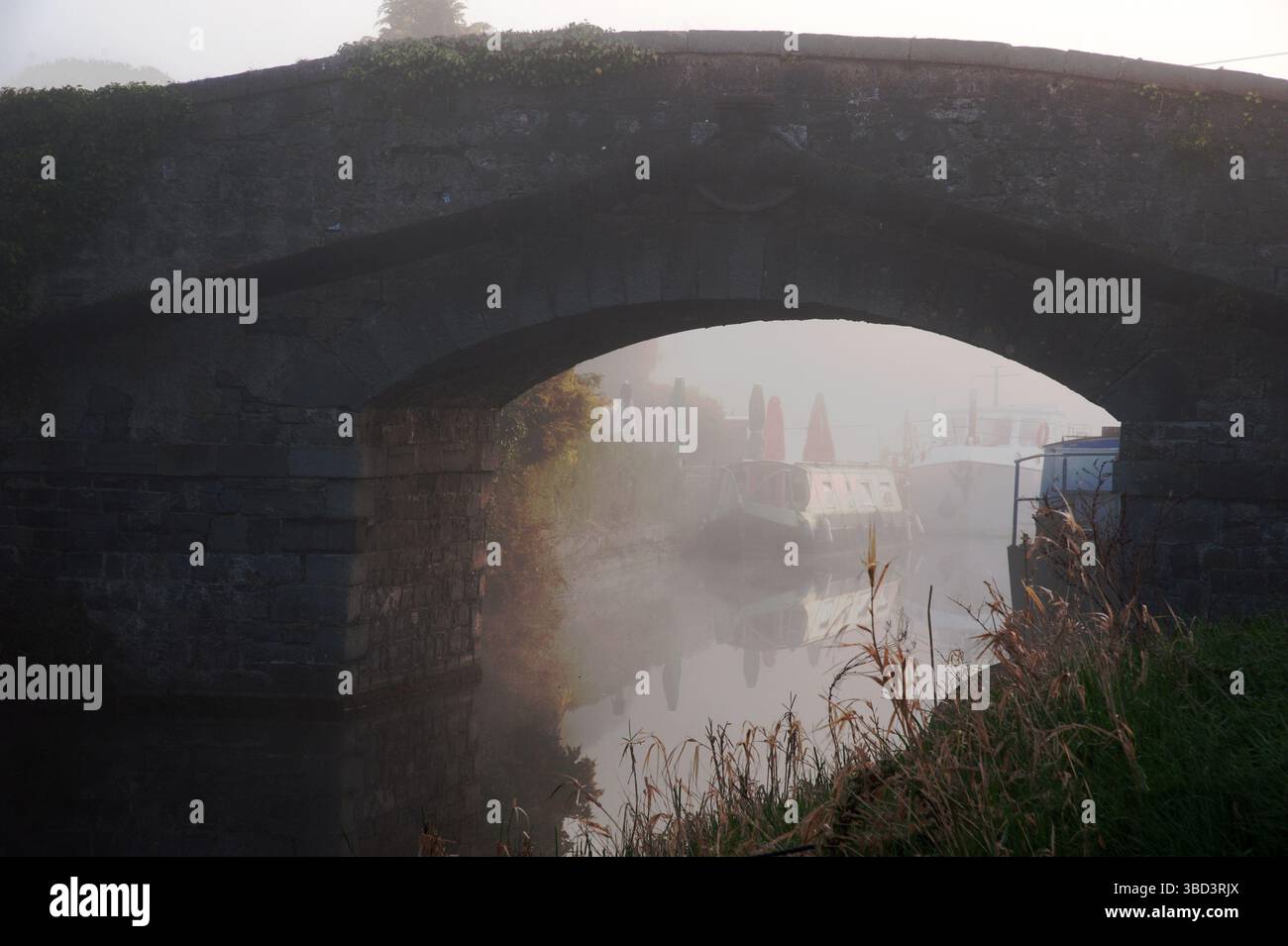 Vue sur le Grand canal et Hazelhatch Bridge, tôt le matin brumeux, Celbridge, Co Kildare, Irlande Banque D'Images