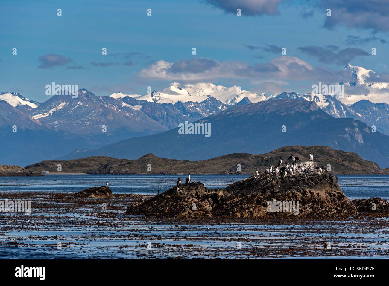 Terre des îles de feu. Beagle Channel. Ushuaia. La fin du monde. Argentine du Sud Banque D'Images