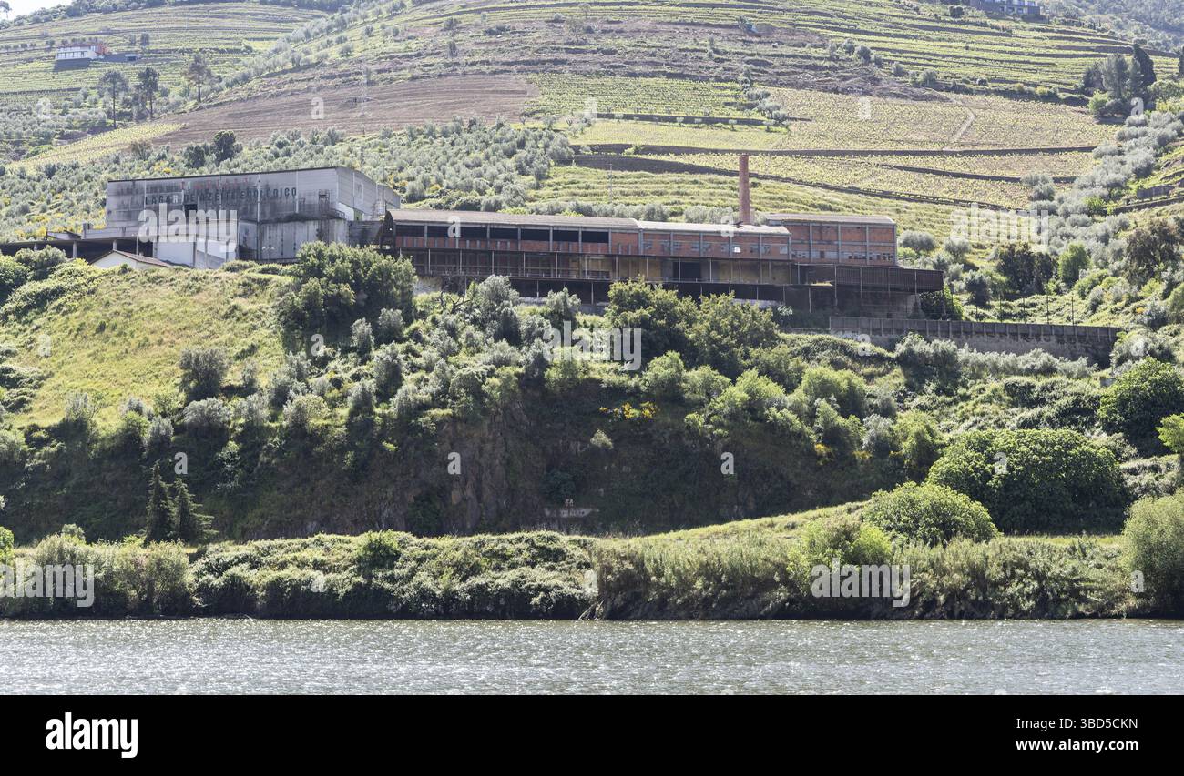 Usine d'huile d'olive Marialva maintenant désaffectée, vallée du fleuve Douro, près de Pinhao, Alto Douro, Portugal Banque D'Images