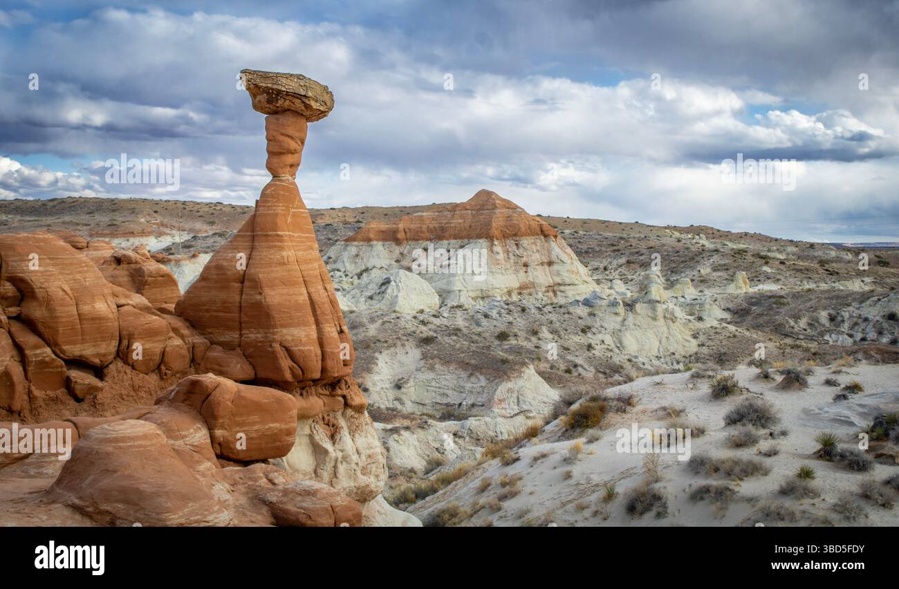 Le Toadstool Hoodoos Trail près de Kanab, Utah, offre une randonnée facile et familiale à travers un paysage à couper le souffle de formations de grès uniques. Banque D'Images
