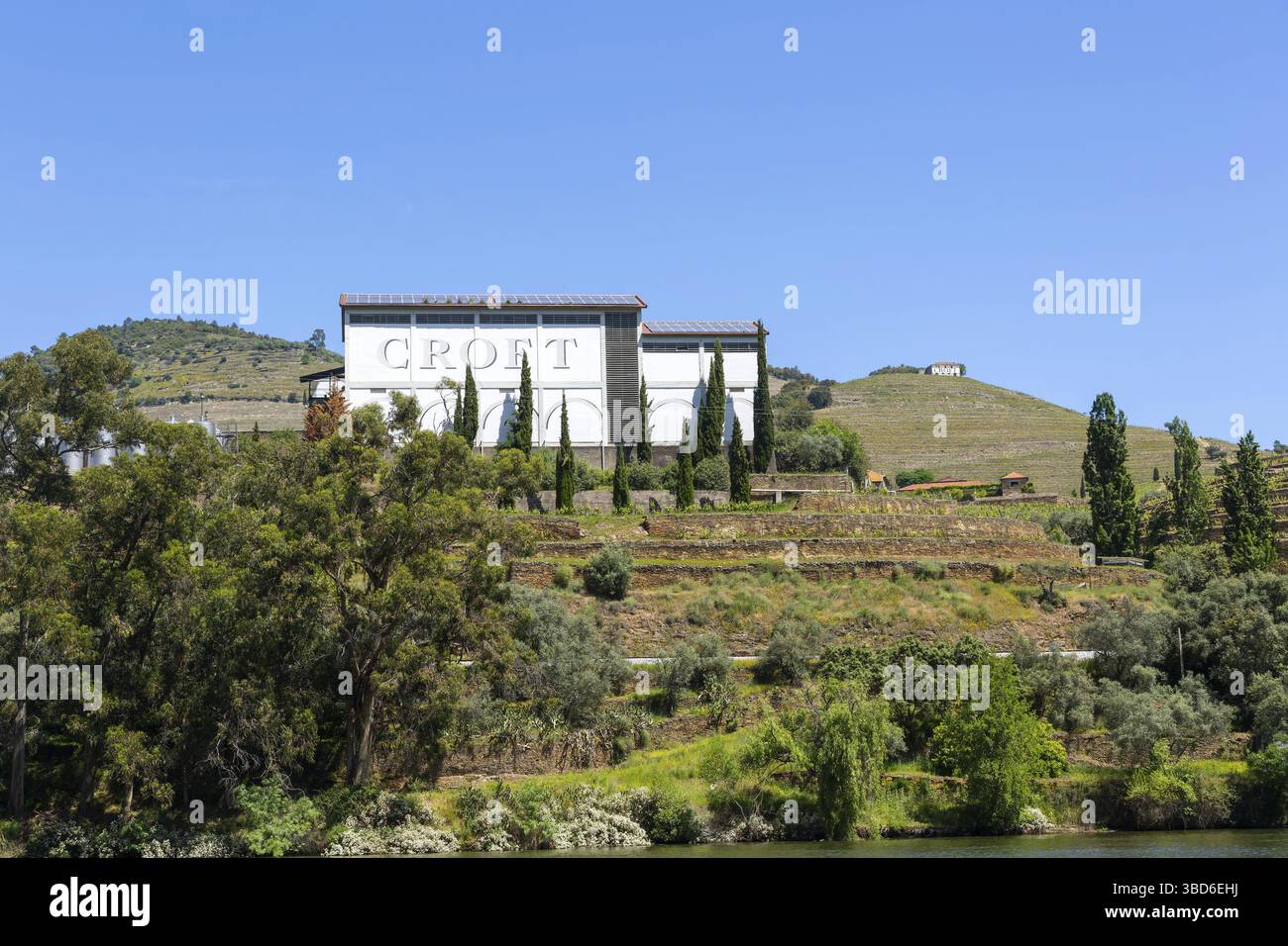 Quinta do Roeda, vignobles Croft, près de Pinhao, vallée du fleuve Douro, Alto Douro, Portugal Banque D'Images