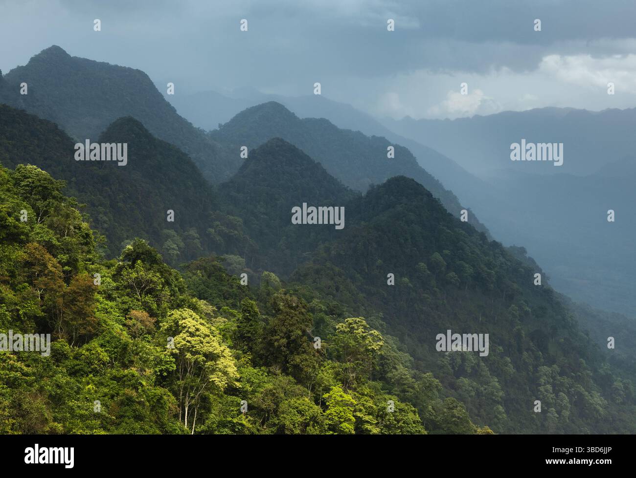 Majestueuses montagnes karstiques boisées et vallée pittoresque des zones reculées du Vietnam rural Banque D'Images