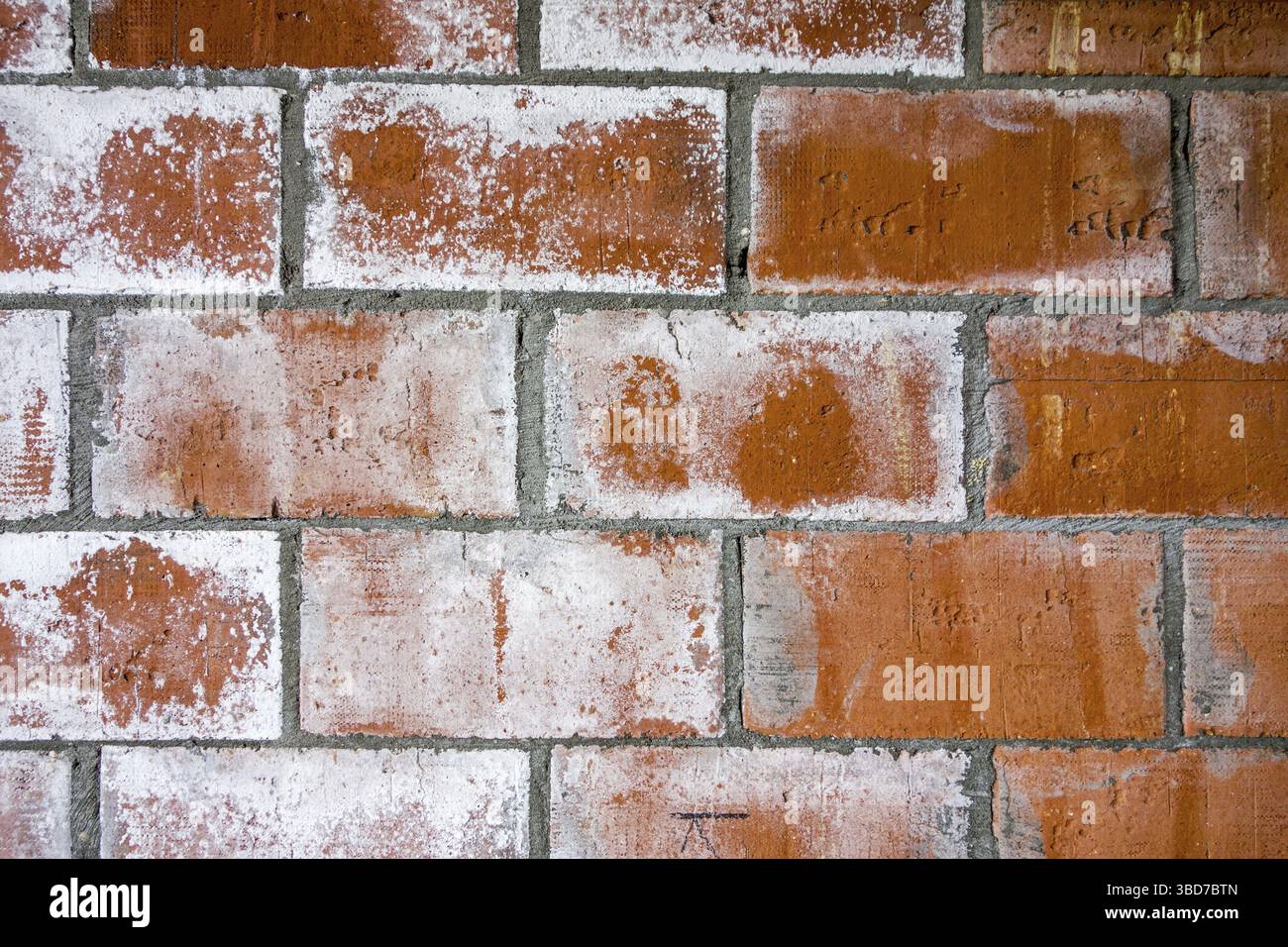 Mur de briques rouges de la maison nouvellement construite montrant des taches blanches, revêtement dû à l'efflorescence, migration du sel à la surface d'un matériau poreux Banque D'Images