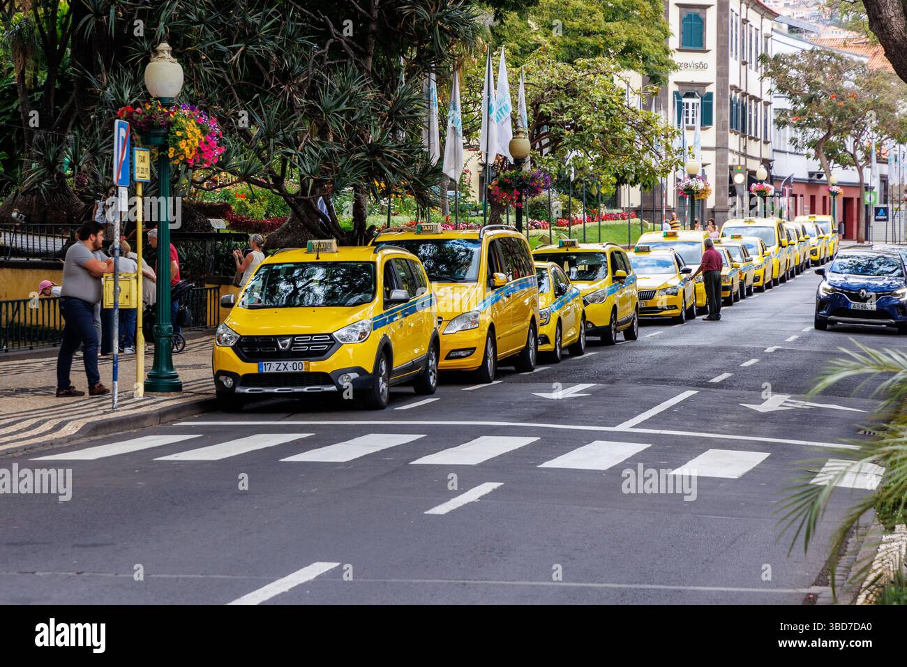 Funchal, Portugal - 9 juin 2024 : taxis jaunes dans la ville de Funchal, capitale de l'île de Madère Banque D'Images