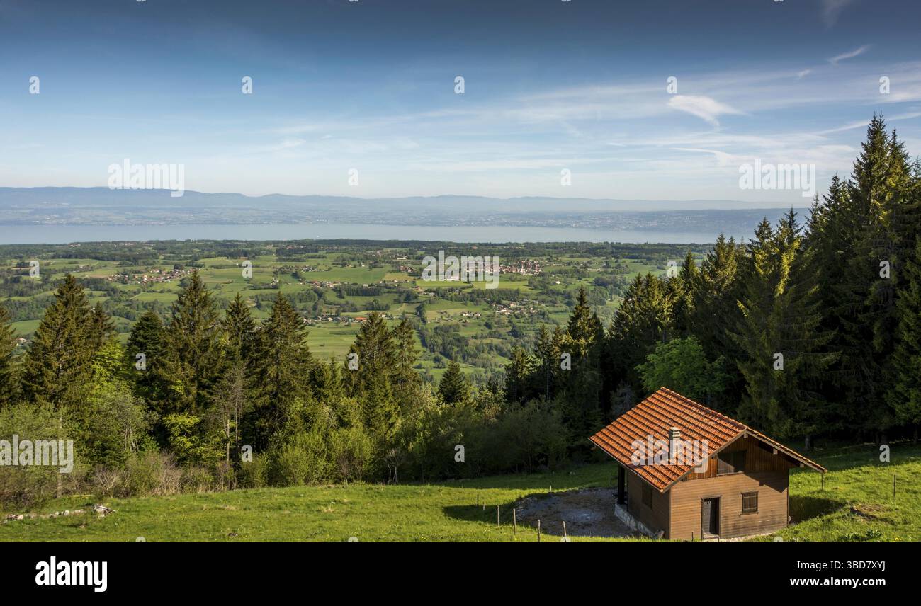 Vue sur le lac Léman, département de haute Savoie, Auvergne Rhône Alpes, France Banque D'Images