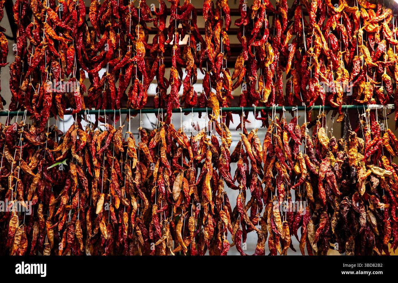 des fruits exotiques et une atmosphère animée dans un marché de fruits tropicaux dynamique Banque D'Images