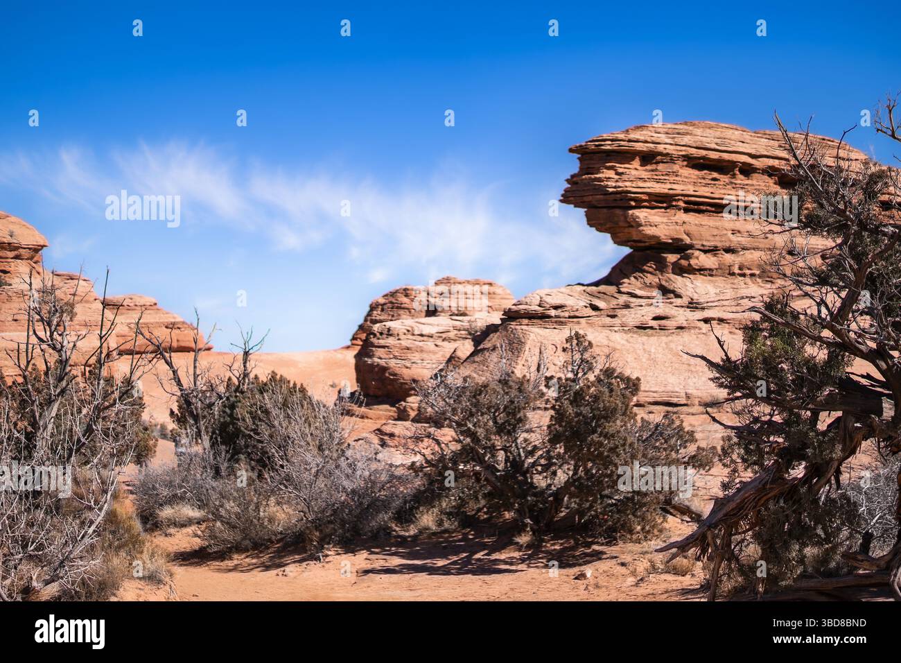 Formations de grès érodées et végétation désertique dans les Arches Nati Banque D'Images