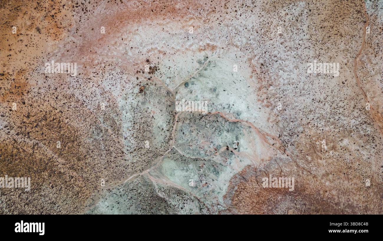 Vue aérienne de salines désertiques abstraites avec texture ramifiée Banque D'Images
