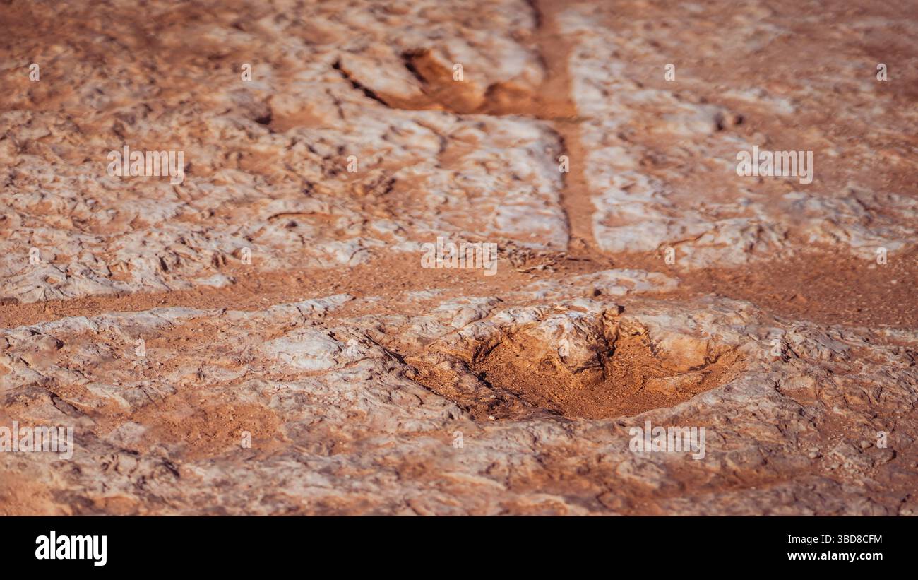 Piste de dinosaures avec plusieurs empreintes fossiles dans le grès Banque D'Images