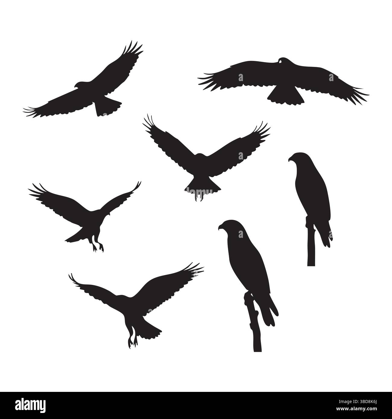 Silhouette ensemble de faucon sur fond blanc Illustration de Vecteur